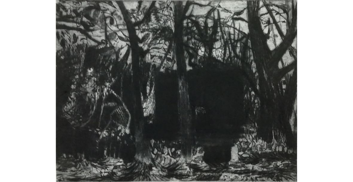 Ysbyty Chwarel nocturne I